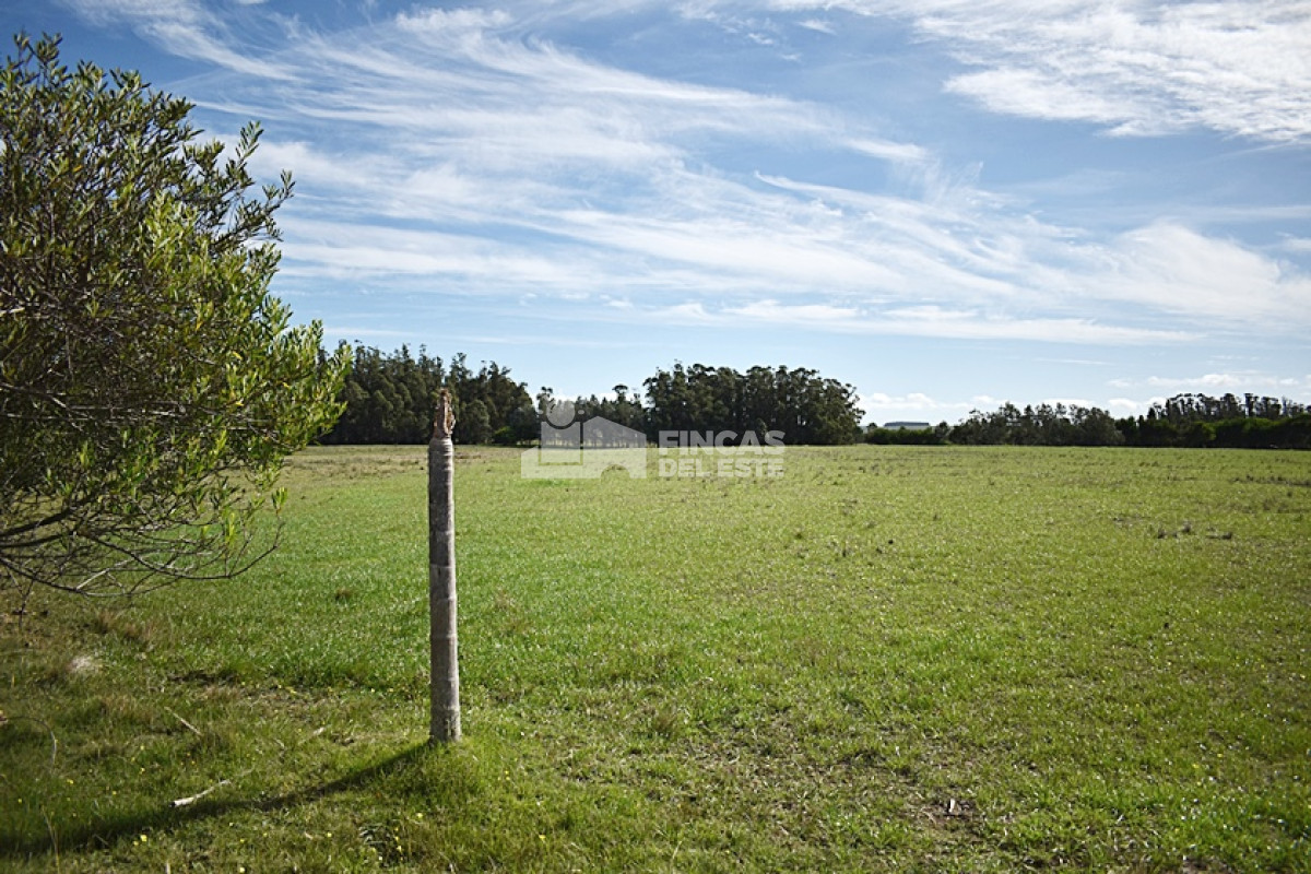 José Ignacio - GoPunta - Portal Inmobiliario de Punta del Este - Maldonado