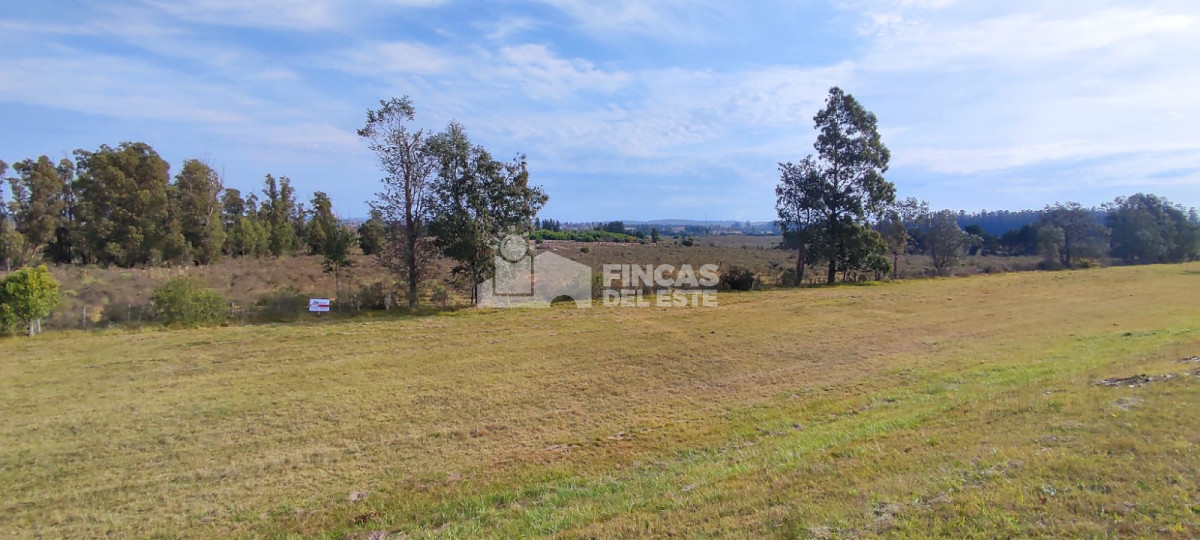 San Carlos - GoPunta - Portal Inmobiliario de Punta del Este - Maldonado