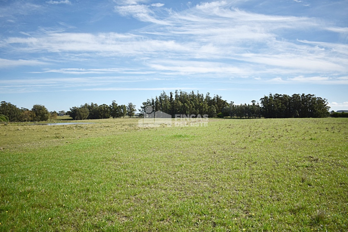 José Ignacio - GoPunta - Portal Inmobiliario de Punta del Este - Maldonado