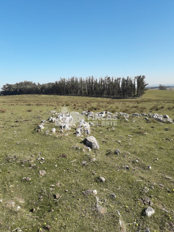 Ruta 9 - GoPunta - Portal Inmobiliario de Punta del Este - Maldonado