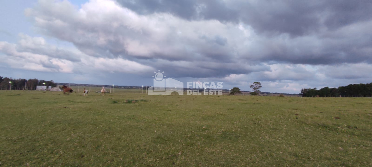 Chacra de 5 Hectáreas sobre Ruta 39 - GoPunta - Portal Inmobiliario de Punta del Este - Maldonado