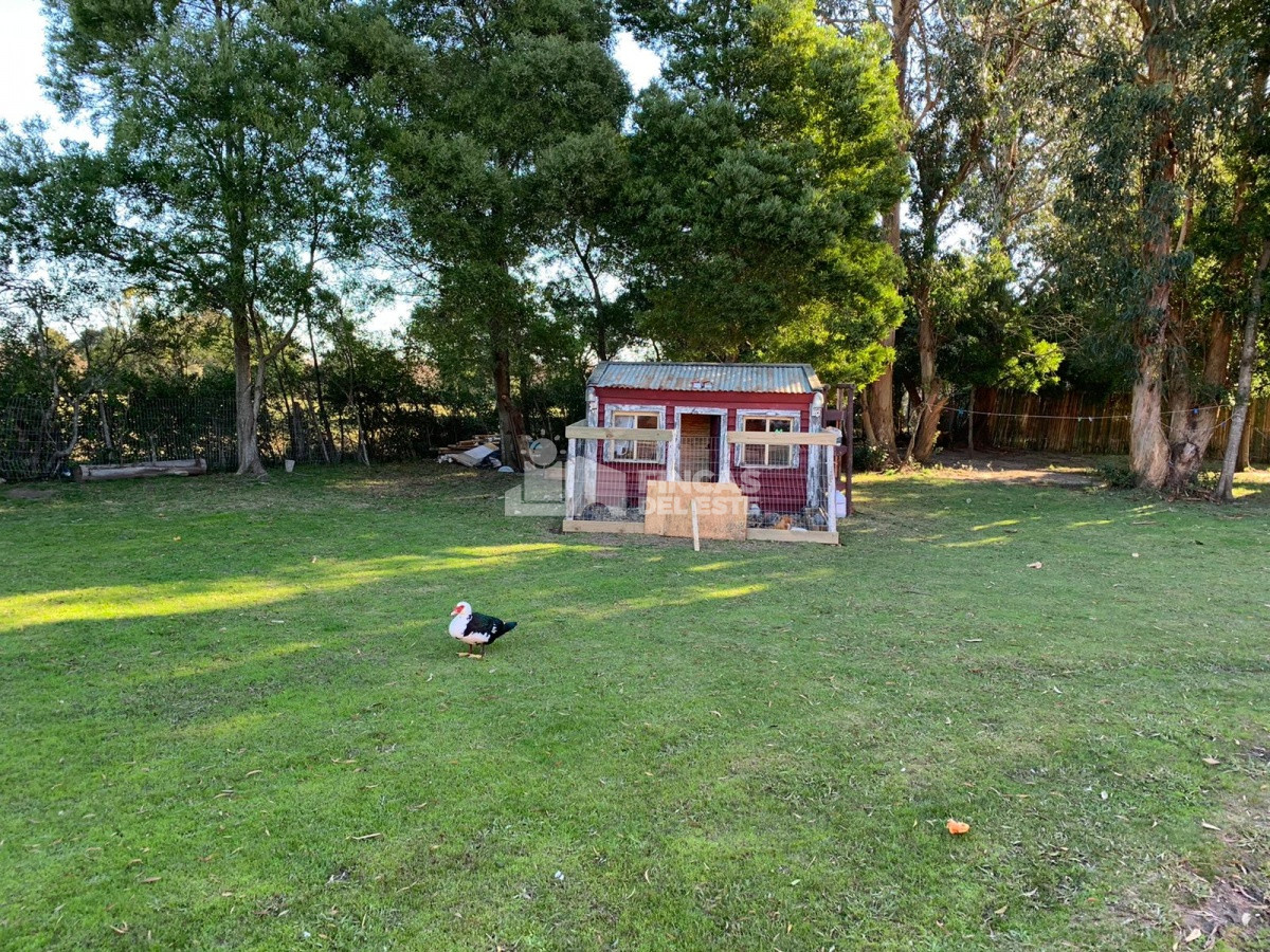 Chacra con casa - GoPunta - Portal Inmobiliario de Punta del Este - Maldonado