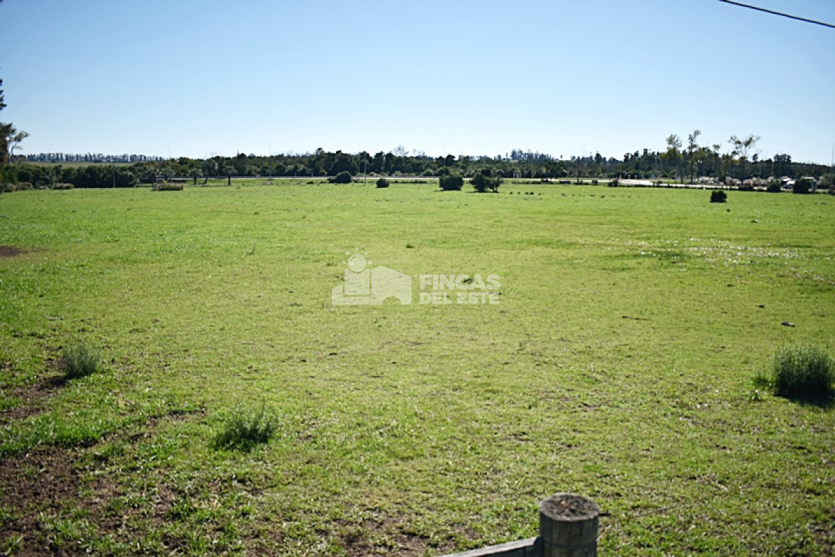 San Carlos - GoPunta - Portal Inmobiliario de Punta del Este - Maldonado