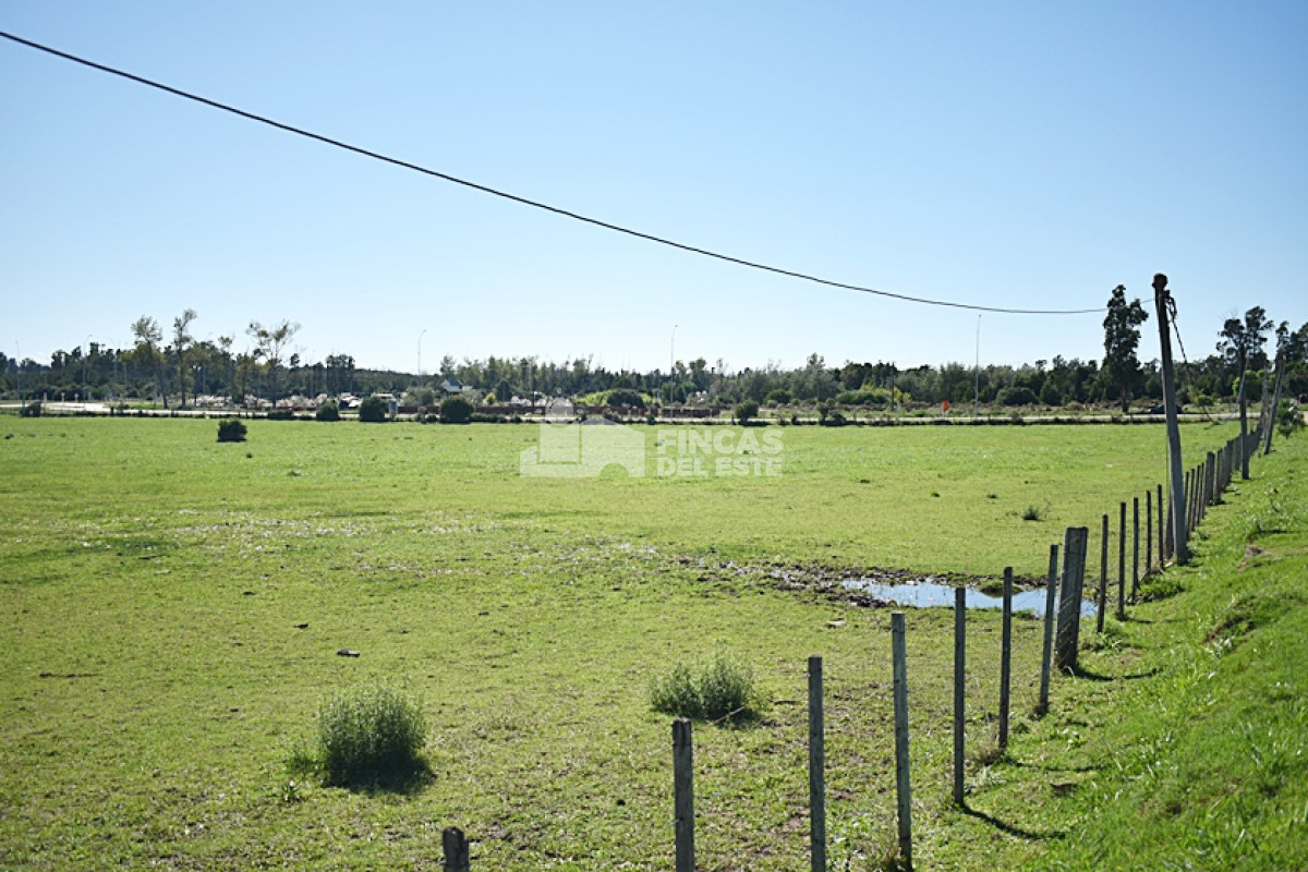 San Carlos - GoPunta - Portal Inmobiliario de Punta del Este - Maldonado