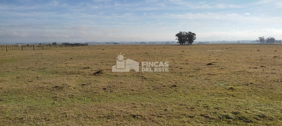 Laguna Garzón - GoPunta - Portal Inmobiliario de Punta del Este - Maldonado
