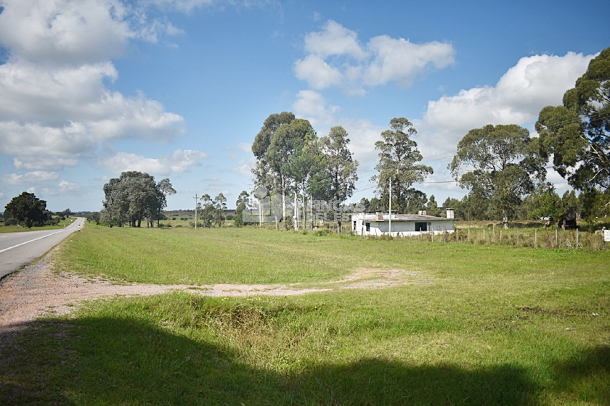San Carlos - GoPunta - Portal Inmobiliario de Punta del Este - Maldonado