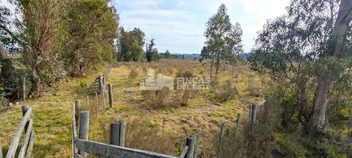 San Carlos - GoPunta - Portal Inmobiliario de Punta del Este - Maldonado