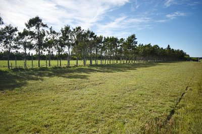 chacra 5 ha   sobre ruta 9 José Ignacio 