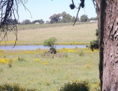 Chacra cercana a Laguna de los Cisnes