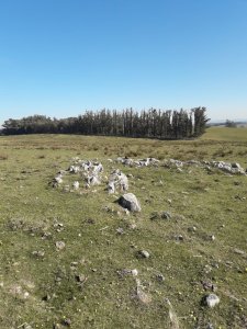 Chacra de 50 hectáreas 