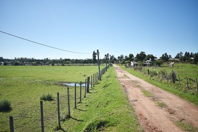 CHACRA SAN CARLOS RUTA 9