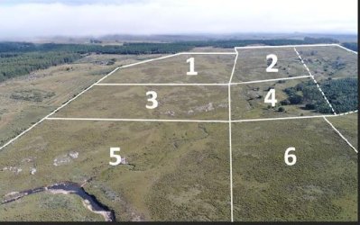 Oportunidad Chacras en ruta 12 