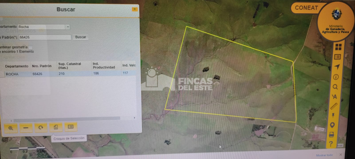 CAPO 210 Ha  Rocha ruta 15  La Paloma  AGRICOLA   GANADERO - GoPunta - Portal Inmobiliario de Punta del Este - Maldonado