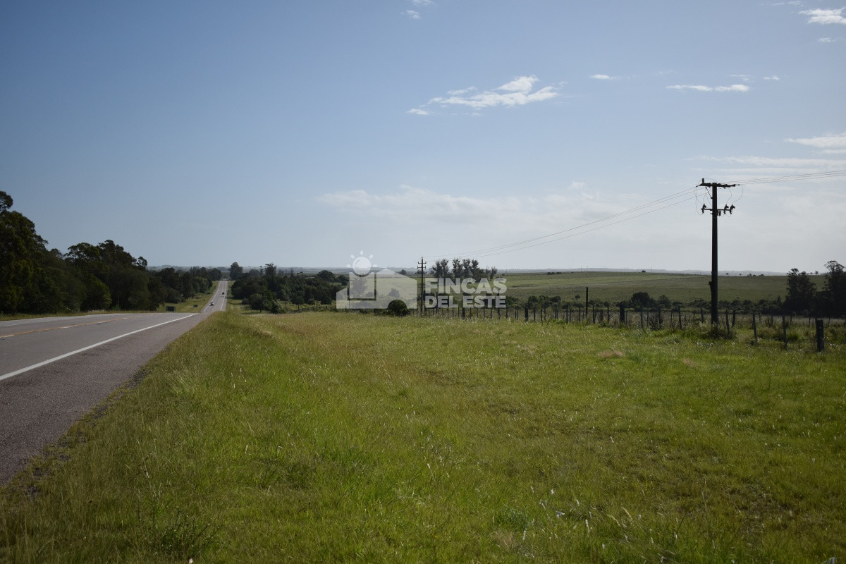 Campo Ruta 9  SAN CARLOS - GoPunta - Portal Inmobiliario de Punta del Este - Maldonado