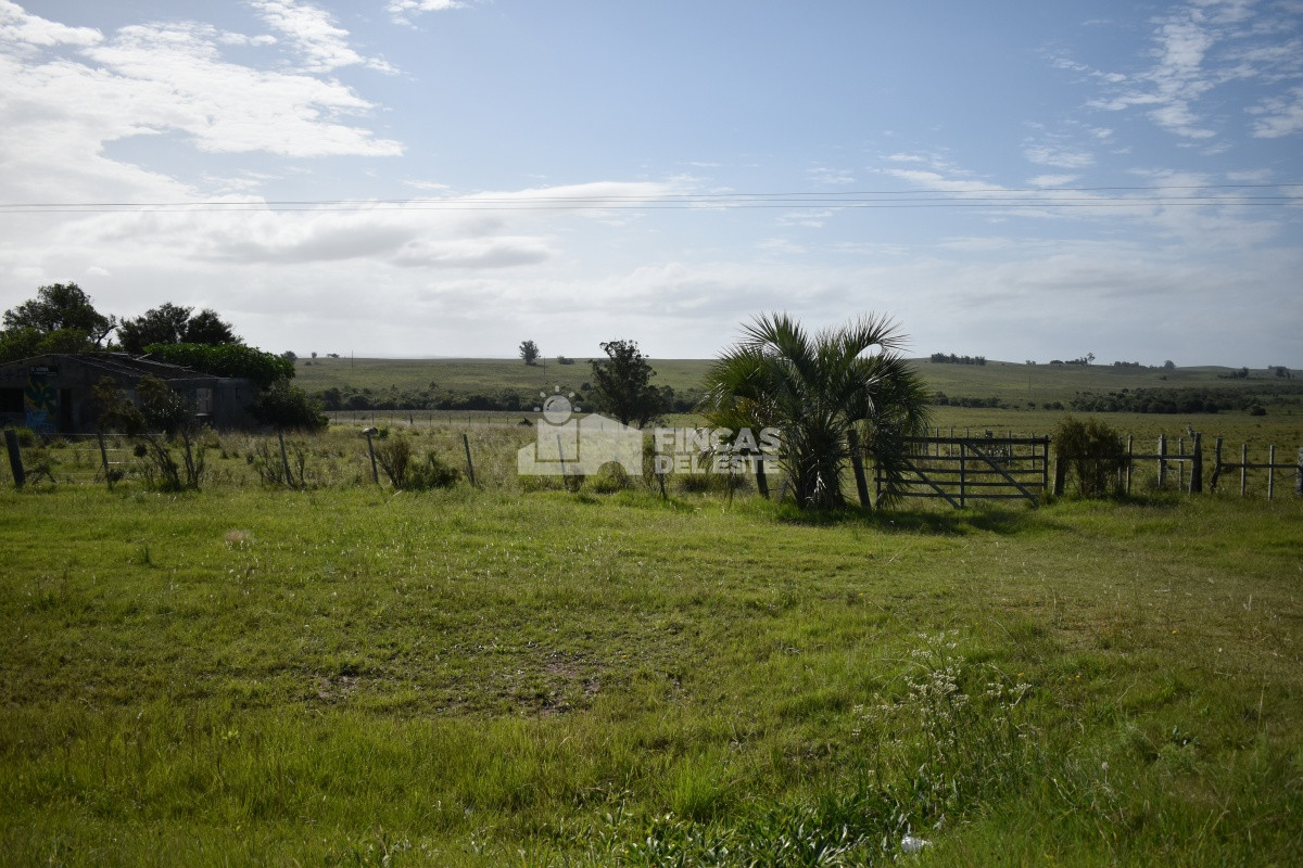 Campo Ruta 9  SAN CARLOS - GoPunta - Portal Inmobiliario de Punta del Este - Maldonado