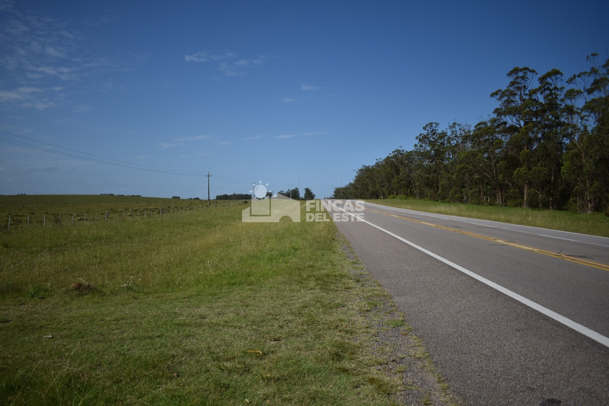 Campo Ruta 9  SAN CARLOS - GoPunta - Portal Inmobiliario de Punta del Este - Maldonado