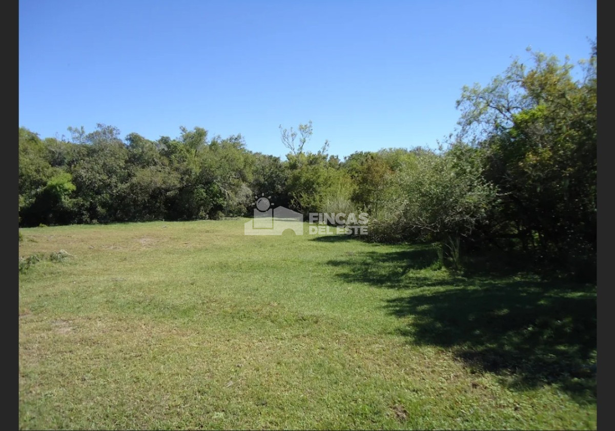 Próximo a arroyo Garzón - GoPunta - Portal Inmobiliario de Punta del Este - Maldonado