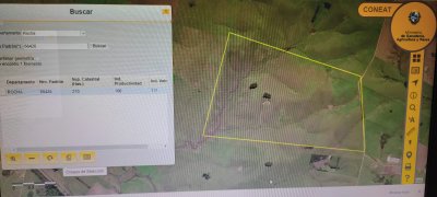 CAPO 210 Ha  Rocha ruta 15  La Paloma  AGRICOLA - GANADERO 