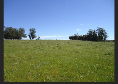 Próximo a arroyo Garzón