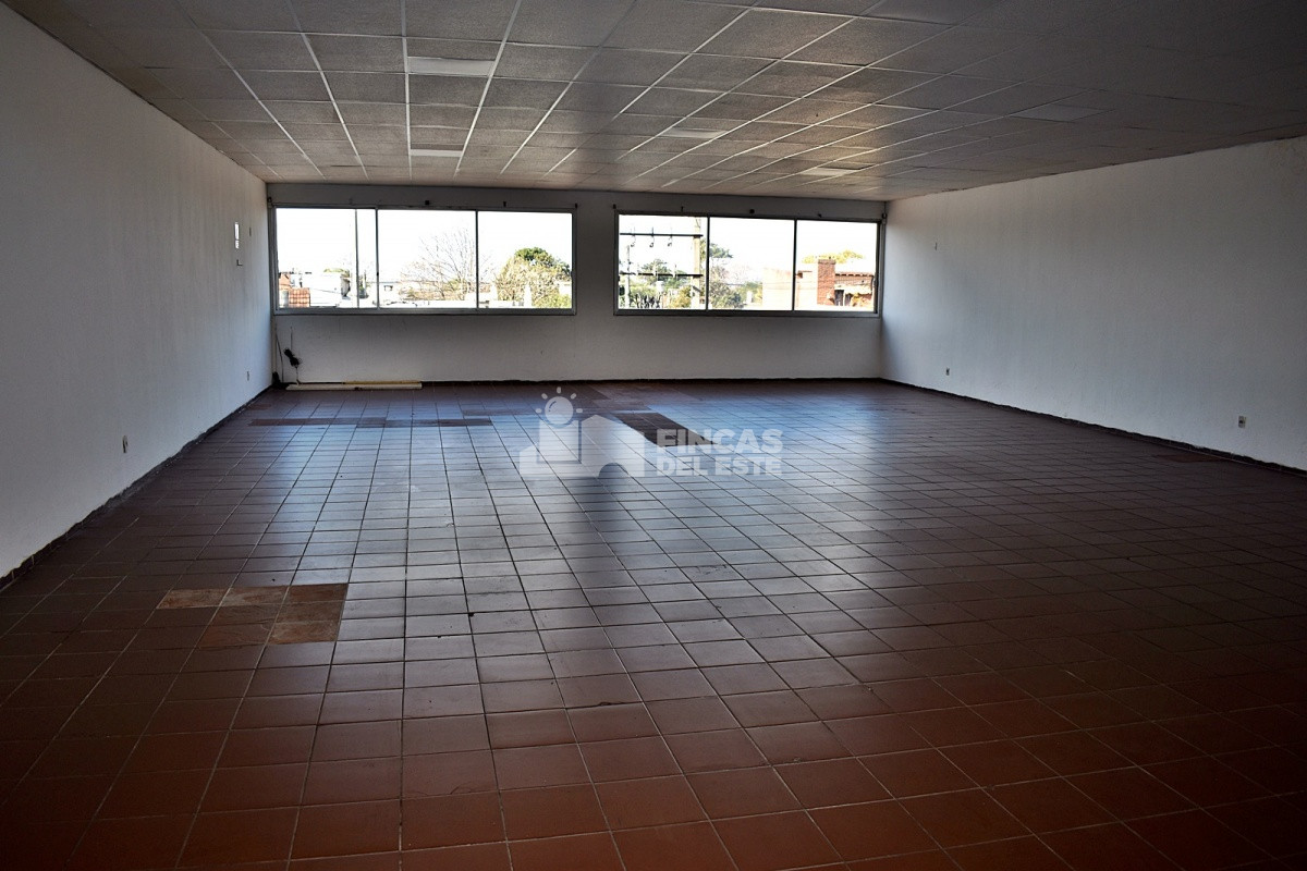 Odizzio - GoPunta - Portal Inmobiliario de Punta del Este - Maldonado