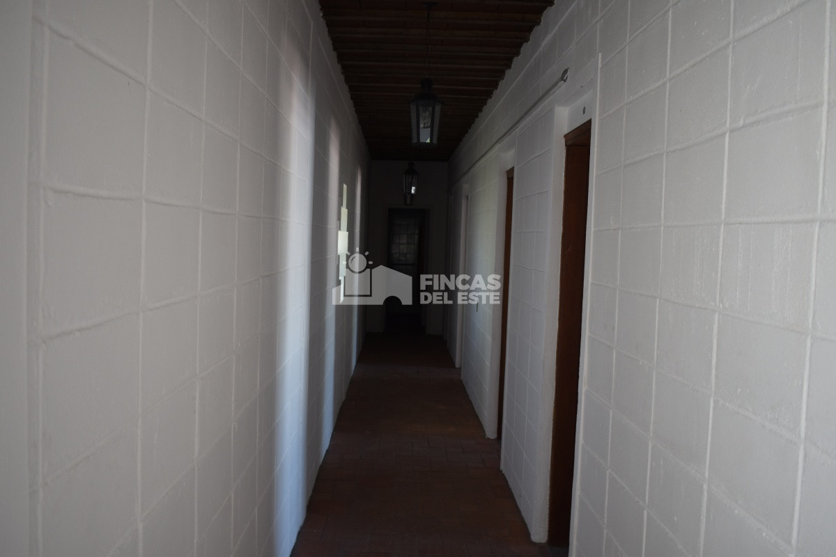 Maldonado - GoPunta - Portal Inmobiliario de Punta del Este - Maldonado