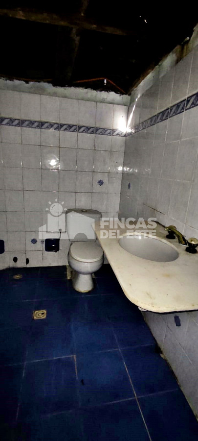 Odizzio - GoPunta - Portal Inmobiliario de Punta del Este - Maldonado