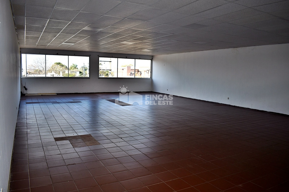 Odizzio - GoPunta - Portal Inmobiliario de Punta del Este - Maldonado