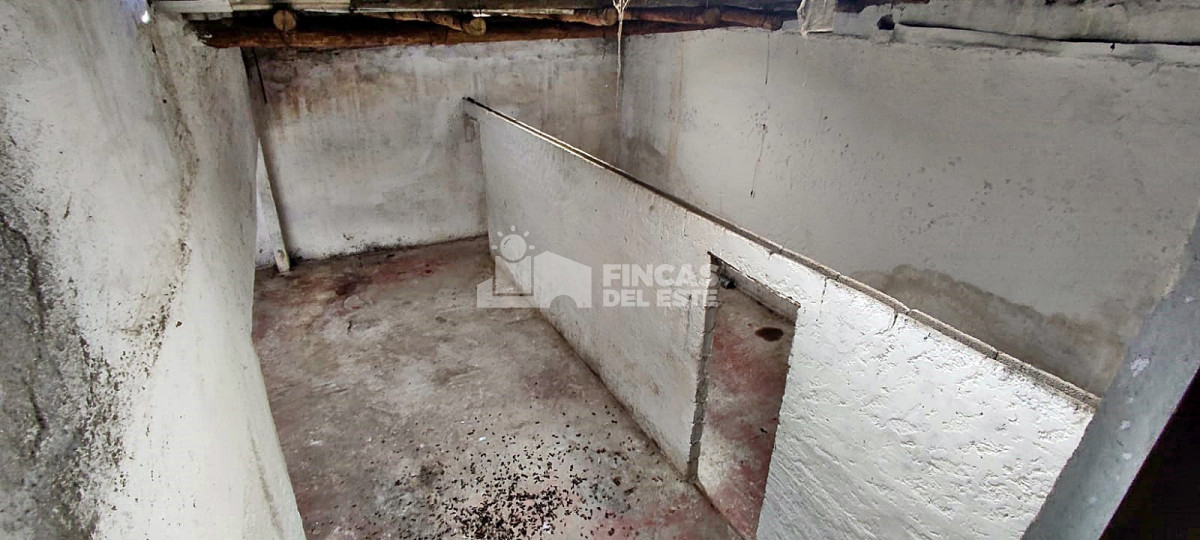 Odizzio - GoPunta - Portal Inmobiliario de Punta del Este - Maldonado