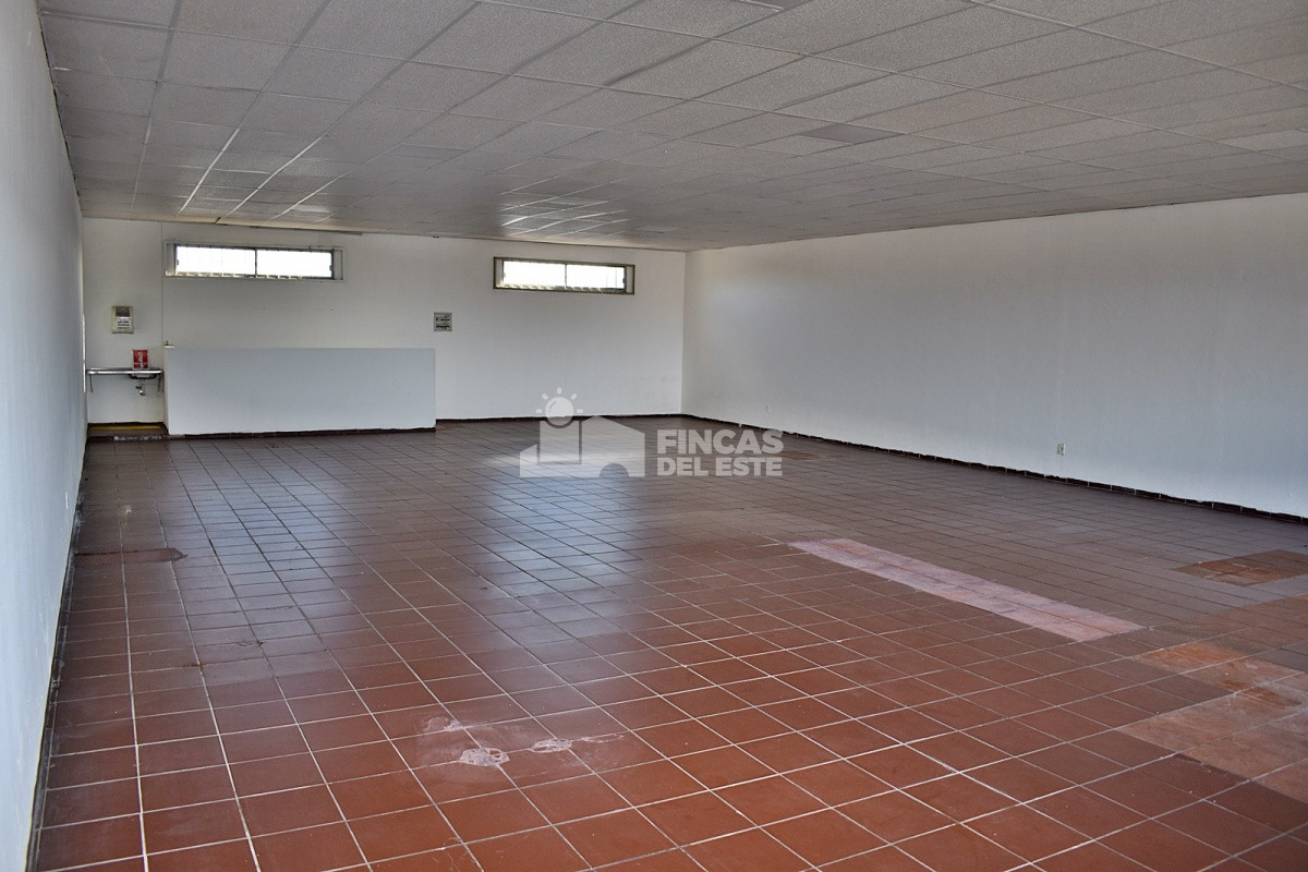 Odizzio - GoPunta - Portal Inmobiliario de Punta del Este - Maldonado