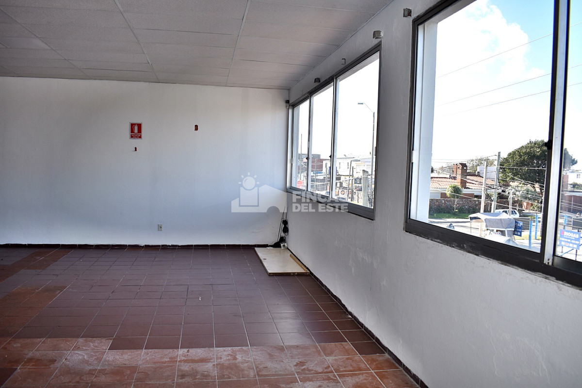 Odizzio - GoPunta - Portal Inmobiliario de Punta del Este - Maldonado