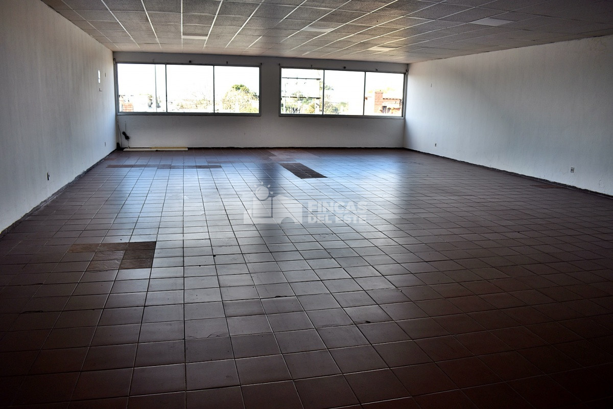 Odizzio - GoPunta - Portal Inmobiliario de Punta del Este - Maldonado