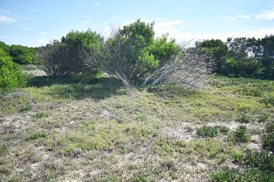 terrenos varios en la juanita  - fde713t