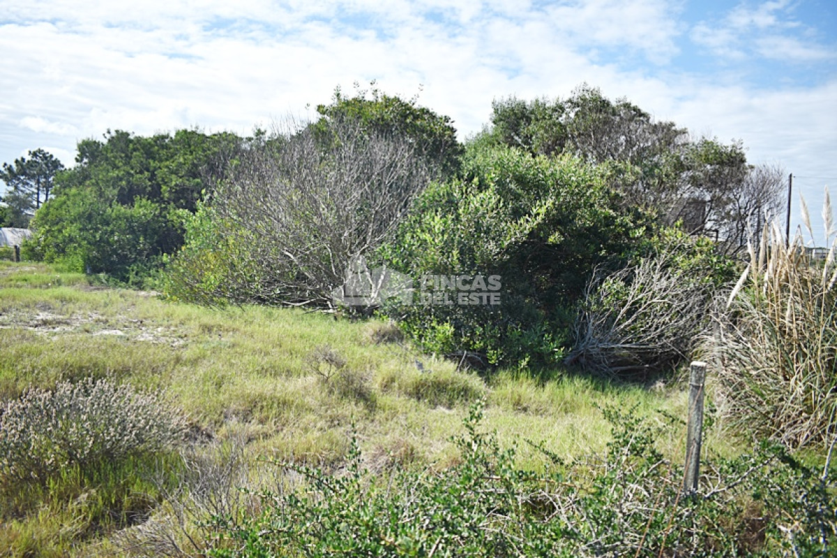 La Juanita - GoPunta - Portal Inmobiliario de Punta del Este - Maldonado