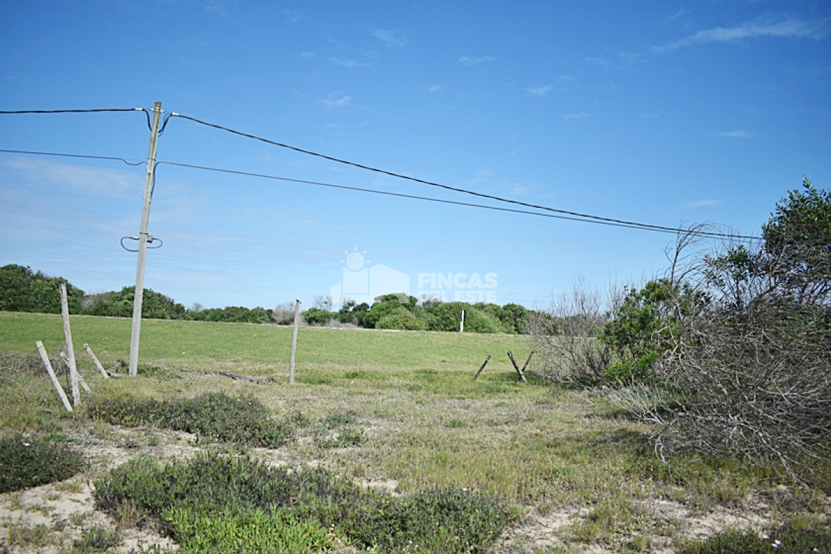 La Juanita - GoPunta - Portal Inmobiliario de Punta del Este - Maldonado