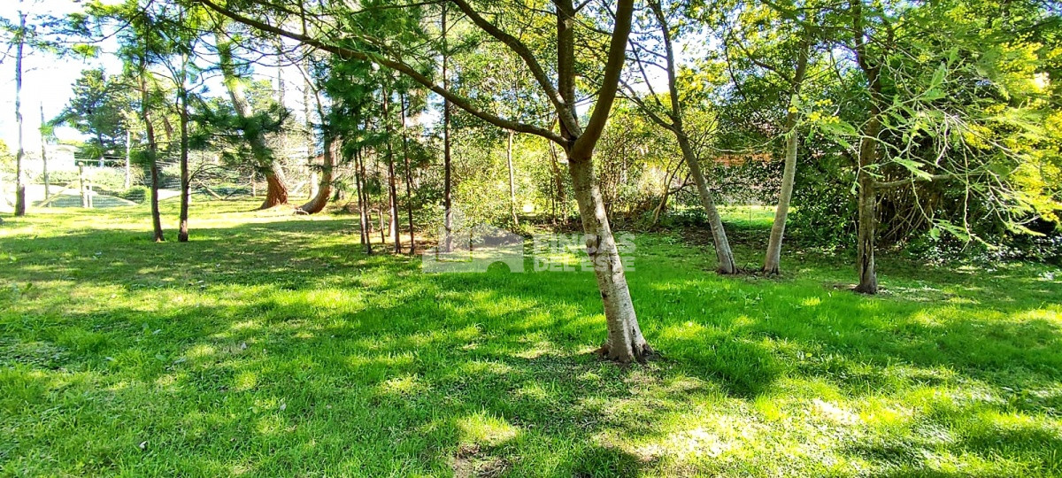 Golf - GoPunta - Portal Inmobiliario de Punta del Este - Maldonado