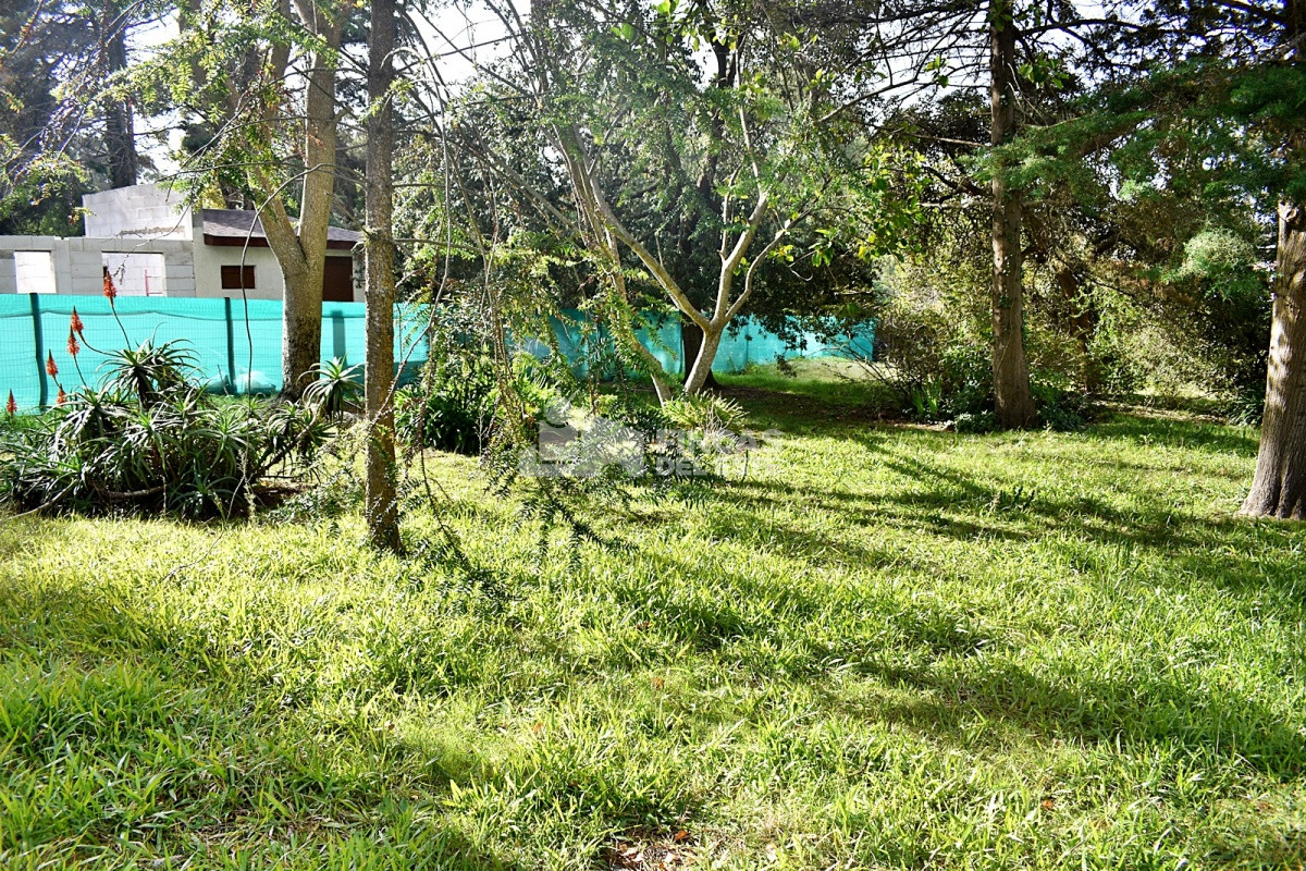 San Rafael - GoPunta - Portal Inmobiliario de Punta del Este - Maldonado