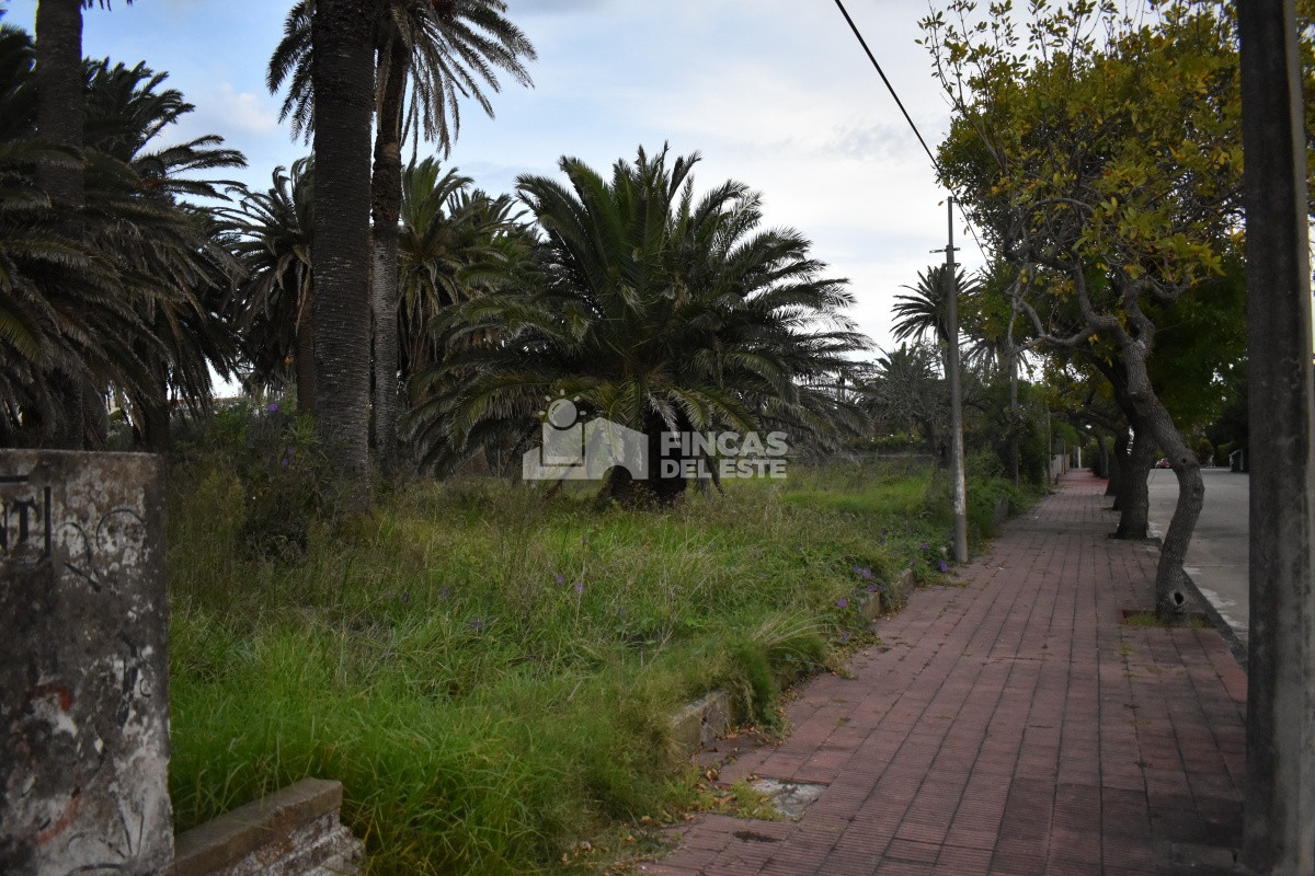 Peninsula - GoPunta - Portal Inmobiliario de Punta del Este - Maldonado