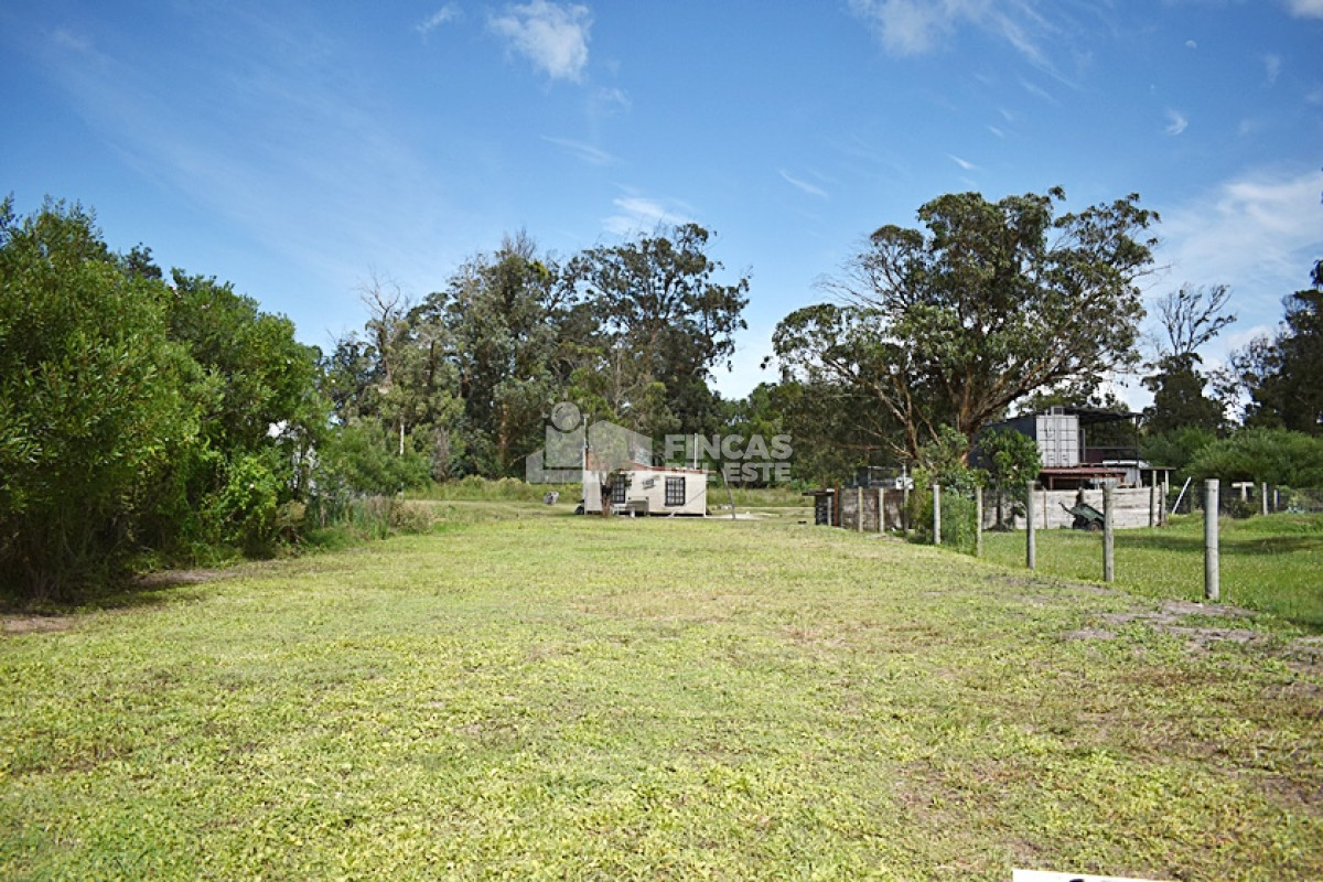 Santa Monica - GoPunta - Portal Inmobiliario de Punta del Este - Maldonado