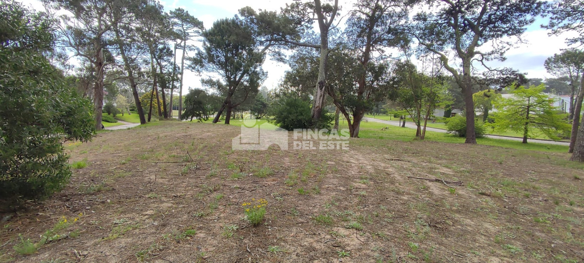 Beverly Hills - GoPunta - Portal Inmobiliario de Punta del Este - Maldonado