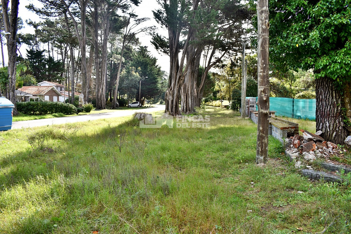 San Rafael - GoPunta - Portal Inmobiliario de Punta del Este - Maldonado