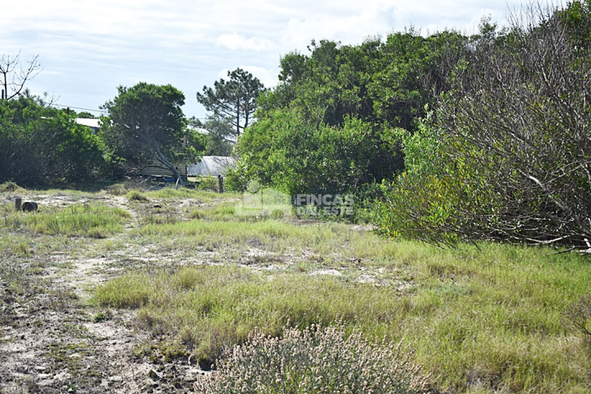 La Juanita - GoPunta - Portal Inmobiliario de Punta del Este - Maldonado