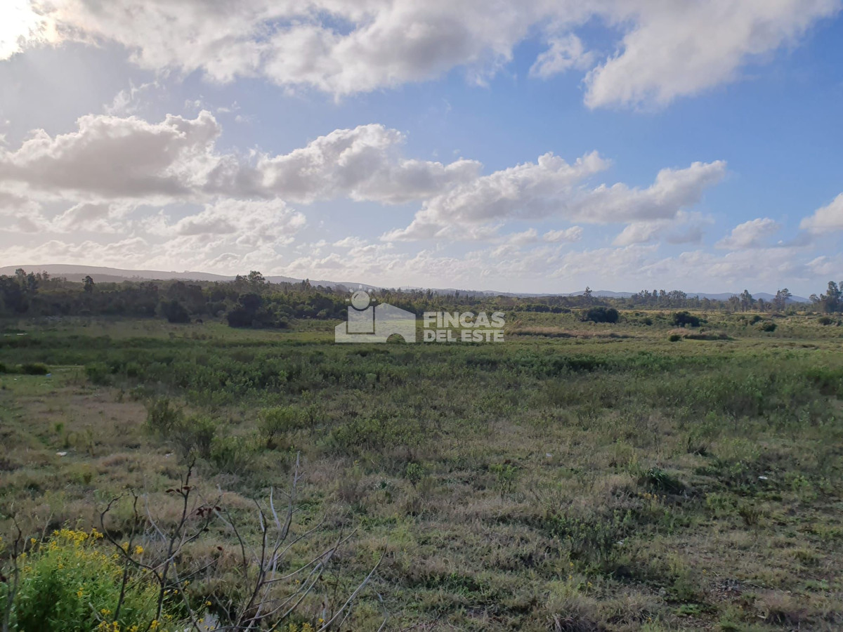 San Carlos - GoPunta - Portal Inmobiliario de Punta del Este - Maldonado