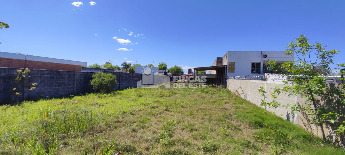 Centro Maldonado - GoPunta - Portal Inmobiliario de Punta del Este - Maldonado