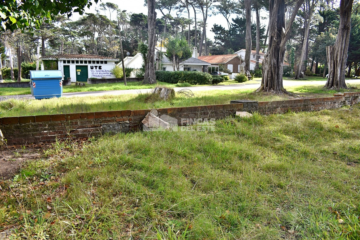 San Rafael - GoPunta - Portal Inmobiliario de Punta del Este - Maldonado
