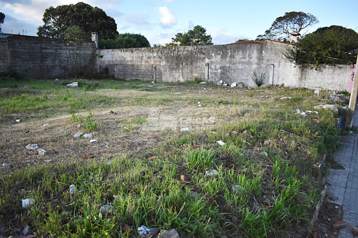 Centro Maldonado - GoPunta - Portal Inmobiliario de Punta del Este - Maldonado