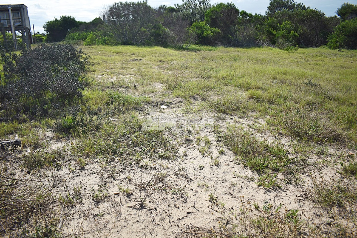 La Juanita - GoPunta - Portal Inmobiliario de Punta del Este - Maldonado