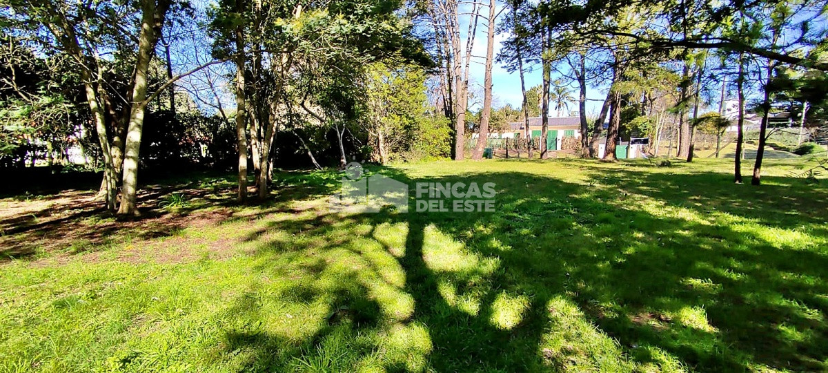 Golf - GoPunta - Portal Inmobiliario de Punta del Este - Maldonado