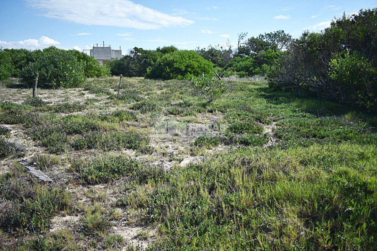 La Juanita - GoPunta - Portal Inmobiliario de Punta del Este - Maldonado