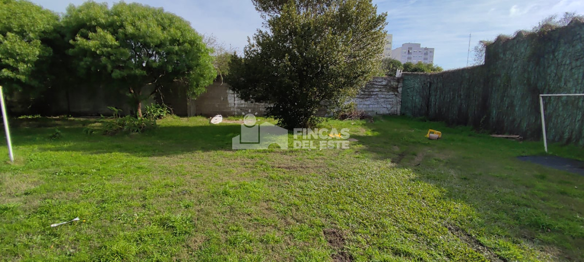 Centro Maldonado - GoPunta - Portal Inmobiliario de Punta del Este - Maldonado