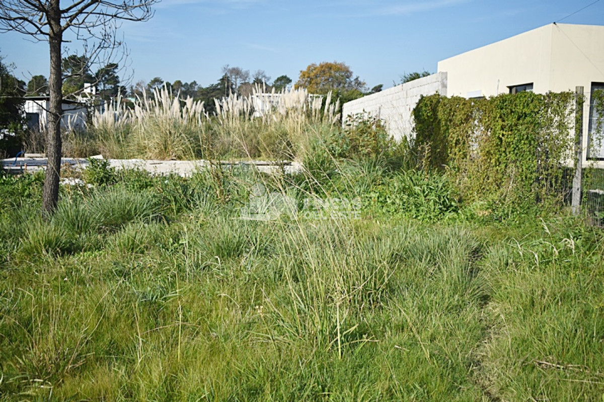 Altos de la Laguna - GoPunta - Portal Inmobiliario de Punta del Este - Maldonado
